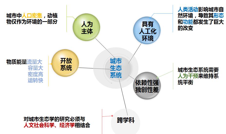 車生泉:生態城市與海綿城市
