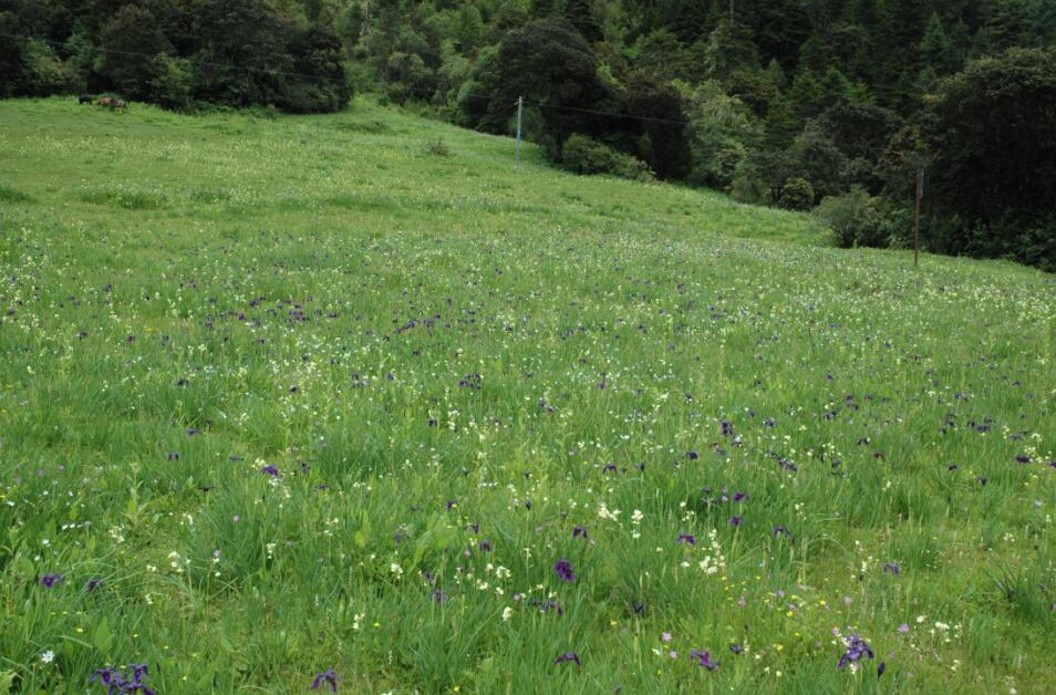 包滿珠:城市建設與屬地自然生態系統的保護