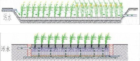 鄧偉:湖城一體化協調發展