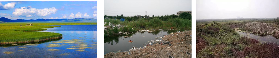 鄧偉:湖城一體化協調發展