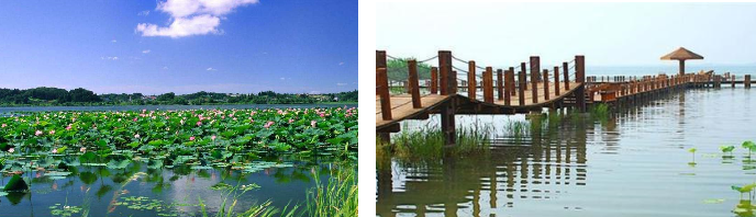 鄧偉：湖城一體化協調發展