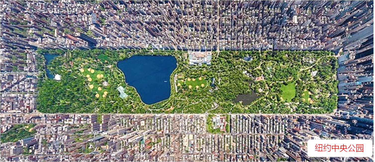 鄭占峰：園林中生活，風景中居住