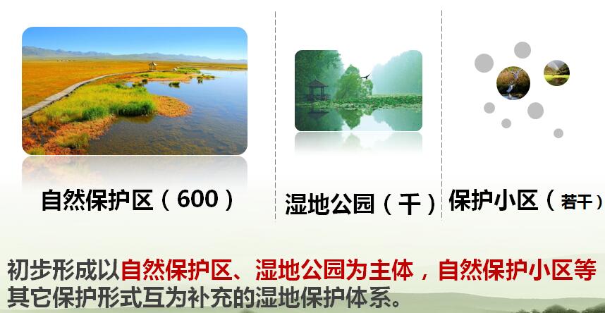 陳克林:爭(zhēng)創(chuàng)天藍(lán)、地綠、水凈國(guó)際濕地城市