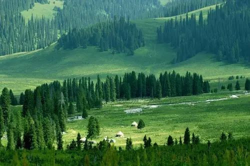 中央財(cái)政支持天然林保護(hù)和森林生態(tài)效益補(bǔ)償