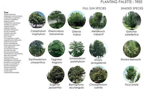 新加坡震撼人心的商業(yè)綜合體