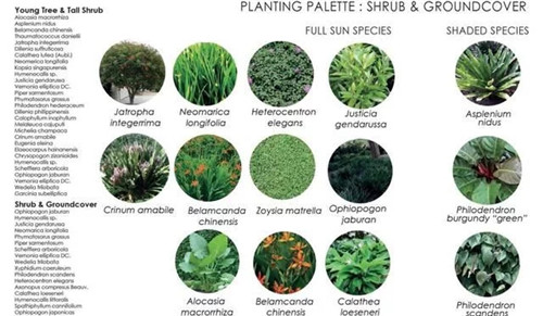 新加坡震撼人心的商業(yè)綜合體