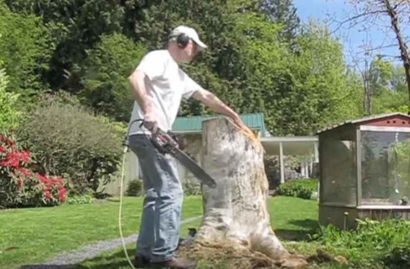 男子將爛樹(shù)樁改造成了小鎮(zhèn)景點(diǎn)