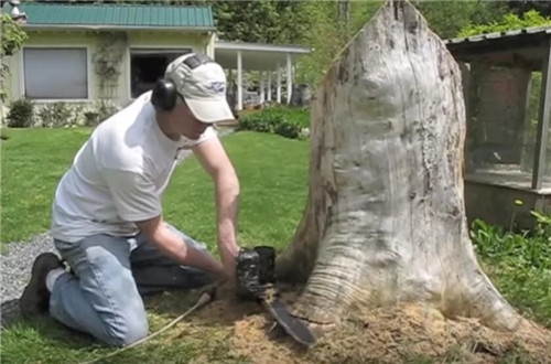 男子將爛樹(shù)樁改造成了小鎮(zhèn)景點(diǎn)