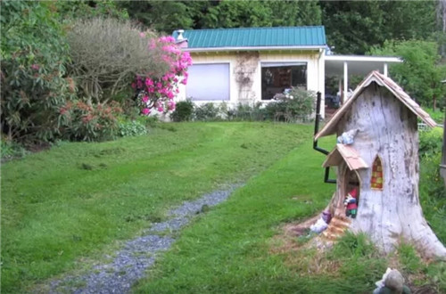 男子將爛樹(shù)樁改造成了小鎮(zhèn)景點(diǎn)