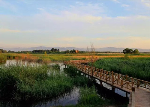 陳躍中:當代語境下的風景園林