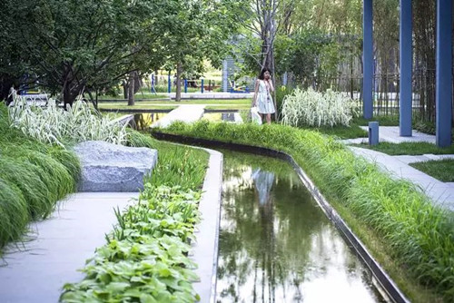 陳躍中：當(dāng)代語境下的風(fēng)景園林