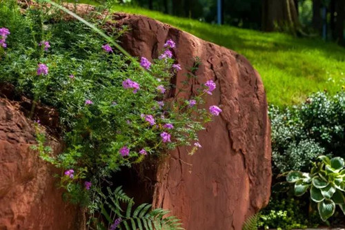 陳躍中：當代語境下的風景園林