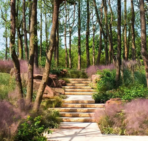 陳躍中：當代語境下的風景園林