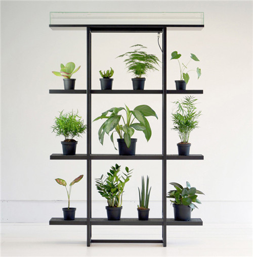 多倫多EDIT設計節新展 將自然帶回城市空間