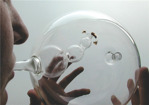 多倫多EDIT設計節新展 將自然帶回城市空間