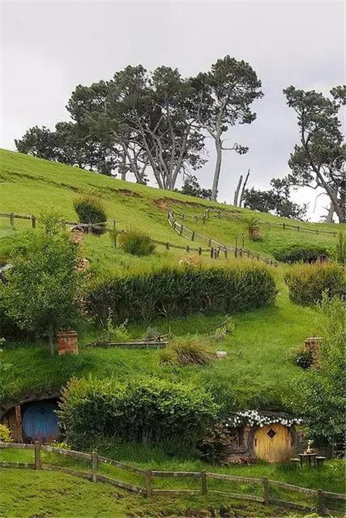 綠植代替瓦片，覆土建筑讓景觀天人合一！