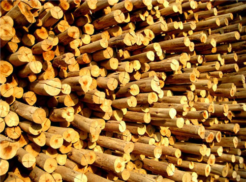 TROP作品：諾布爾立方體住宅景觀設計