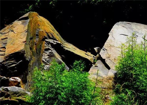 上運石森林公園：秦嶺深處一方美麗的秘境