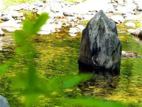 上運石森林公園：秦嶺深處一方美麗的秘境