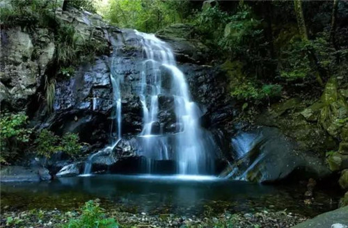 上運石森林公園：秦嶺深處一方美麗的秘境