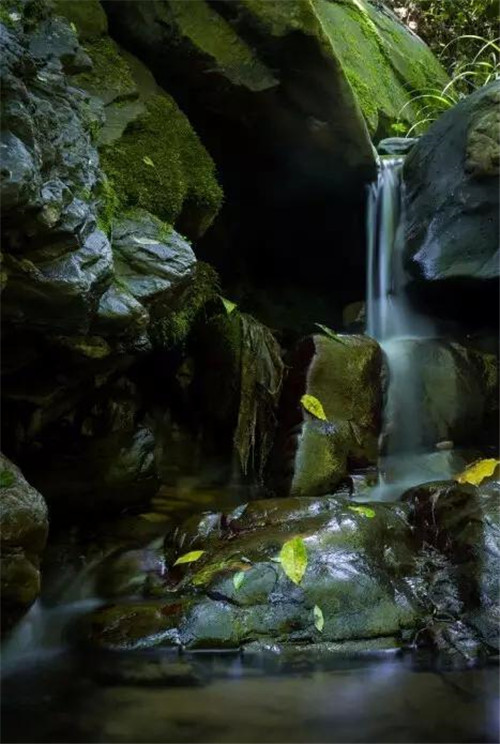 上運石森林公園：秦嶺深處一方美麗的秘境