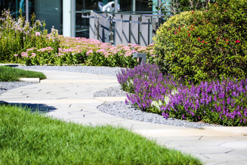 園冶杯專業獎：泰康商學院中心庭院景觀設計