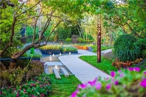 如何讓植物造景在景觀設計中更有范兒？