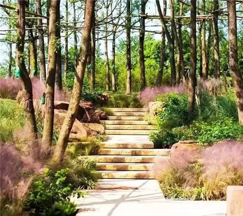 如何讓植物造景在景觀設計中更有范兒？