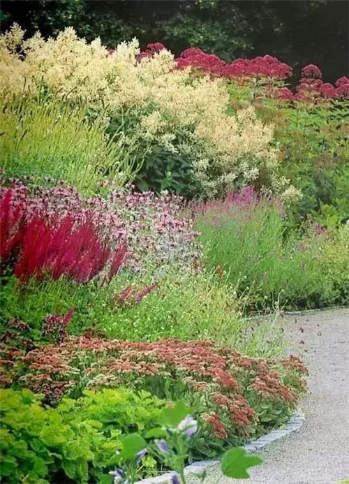 花境:打造天然植物之美