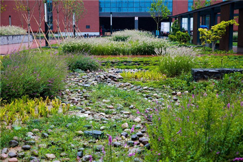 園冶杯項目：衡水威克多總部產業園景觀計劃