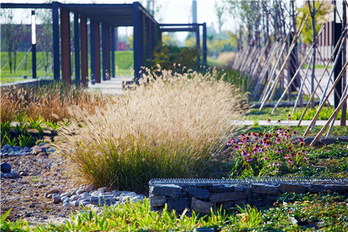 園冶杯項目：衡水威克多總部產業園景觀計劃