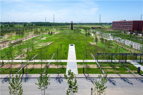 園冶杯項目：衡水威克多總部產業園景觀計劃