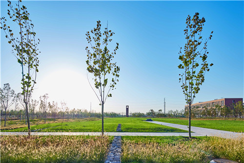 園冶杯項目：衡水威克多總部產業園景觀計劃