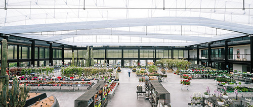 廢棄荒地變仙人掌花園——西班牙“沙漠之城”