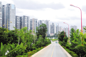 昆明呈貢:打造世界春城花都