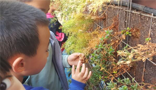 根植快樂認知和體驗的環(huán)境設(shè)計：幼兒園改造