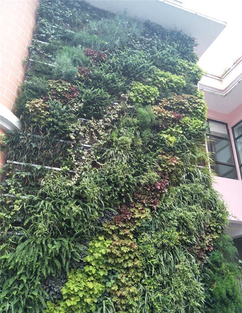 根植快樂認知和體驗的環(huán)境設(shè)計：幼兒園改造