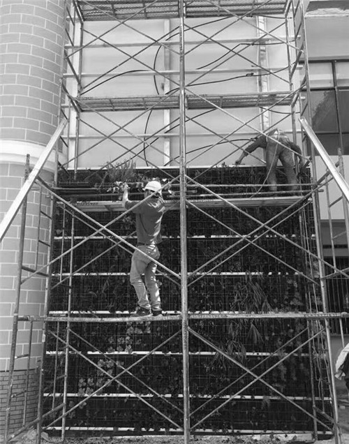 根植快樂認知和體驗的環(huán)境設(shè)計：幼兒園改造