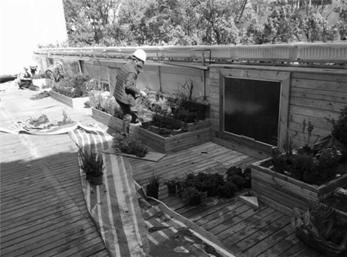 根植快樂認知和體驗的環(huán)境設(shè)計：幼兒園改造