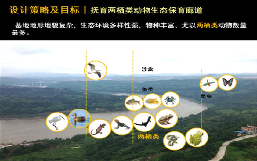 專業獎:金海灣公園峽江風貌展示區規劃設計