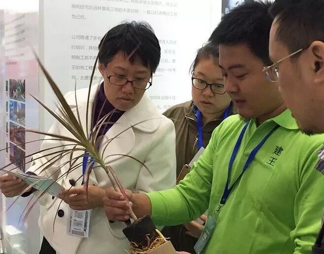 建王集團亮相中國住博會、中國城博會雙展！