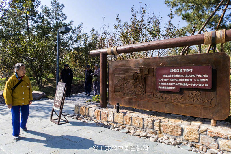 北京新街口再添城市森林公園 恢復宜居環(huán)境