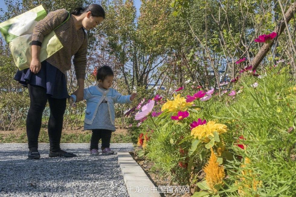 北京新街口再添城市森林公園 恢復宜居環(huán)境