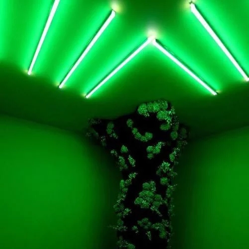 時尚、藝術、花卉 一場盛開的對話