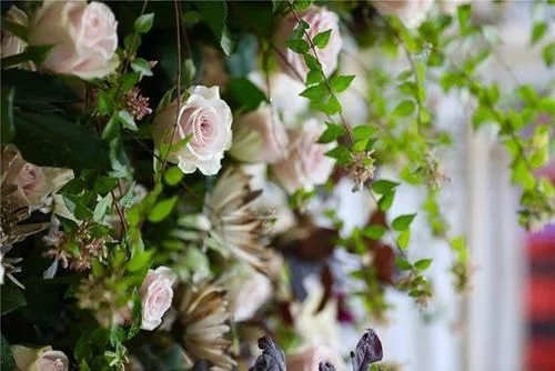 時尚、藝術、花卉 一場盛開的對話