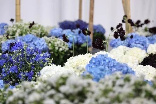 時尚、藝術、花卉 一場盛開的對話