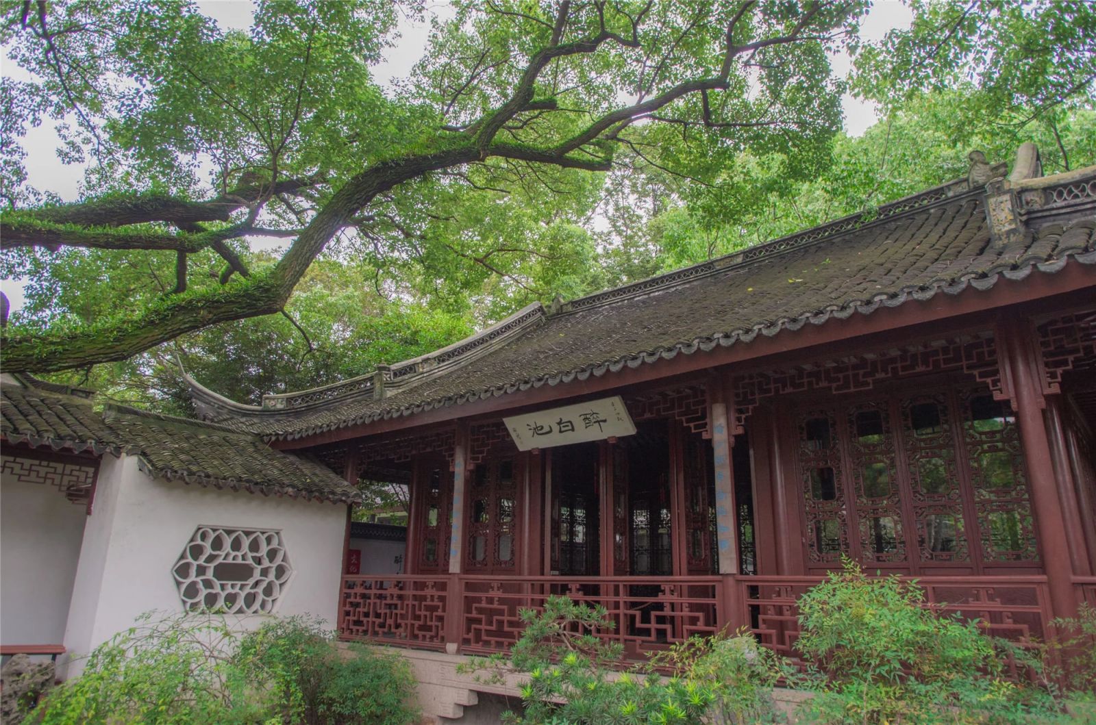 上海這個元代古典園林竟然包含這么多秘密