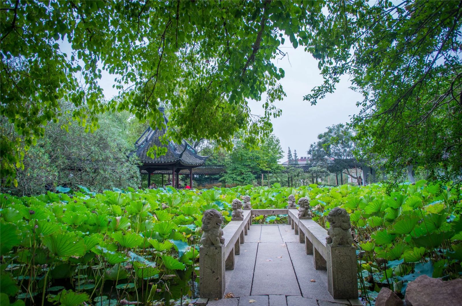 上海這個元代古典園林竟然包含這么多秘密