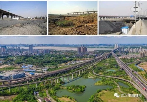 武漢園林院設(shè)計(jì)項(xiàng)目擬獲中國(guó)人居環(huán)境范例獎(jiǎng)