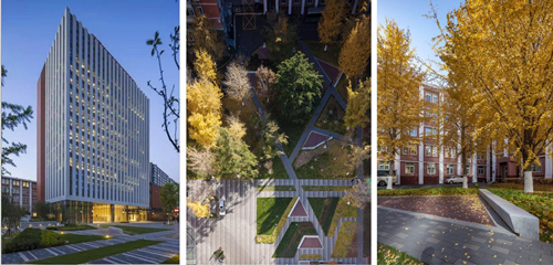 園冶杯專業獎:中航科研綜合樓項目景觀工程